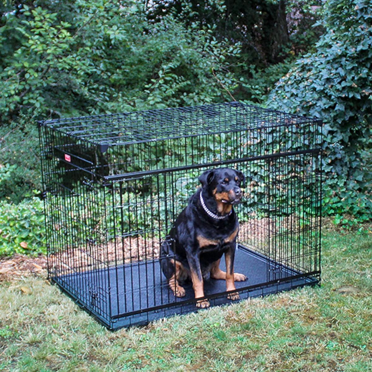 Cage XXL double avec séparation pour Chiens