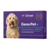 Orivet GenoPet+ Dog Test de l’ADN | Kit de Test de Race de Chien, Tests génétiques, Risques de santé héritables et Plan de Vie