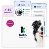 Koko Test ADN pour Chiens Advanced – (+150 rapports sur Races, Santé et Traits) – Mises à Niveau sans Frais