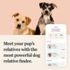 Wisdom Panel Premium : Test ADN de Chien Le Plus Complet pour Plus de 260 Tests de santé | Identification et Ascendance précis de la Race | Traits | Parents | Diversité génétique | Consultation