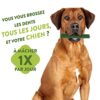 Whimzees, Friandises Naturelles pour l'Hygiène Bucco-Dentaire à Mâcher pour Chien de Grande Taille, Boîte de Variété, Taille L, Boîte de 14 Pièces