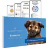 Wisdom Panel Essential – Test ADN pour Chien pour l’Ascendance, Les Traits et Les complications médicales, 75 g