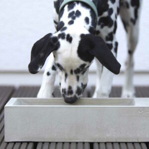 Test génétique des animaux
