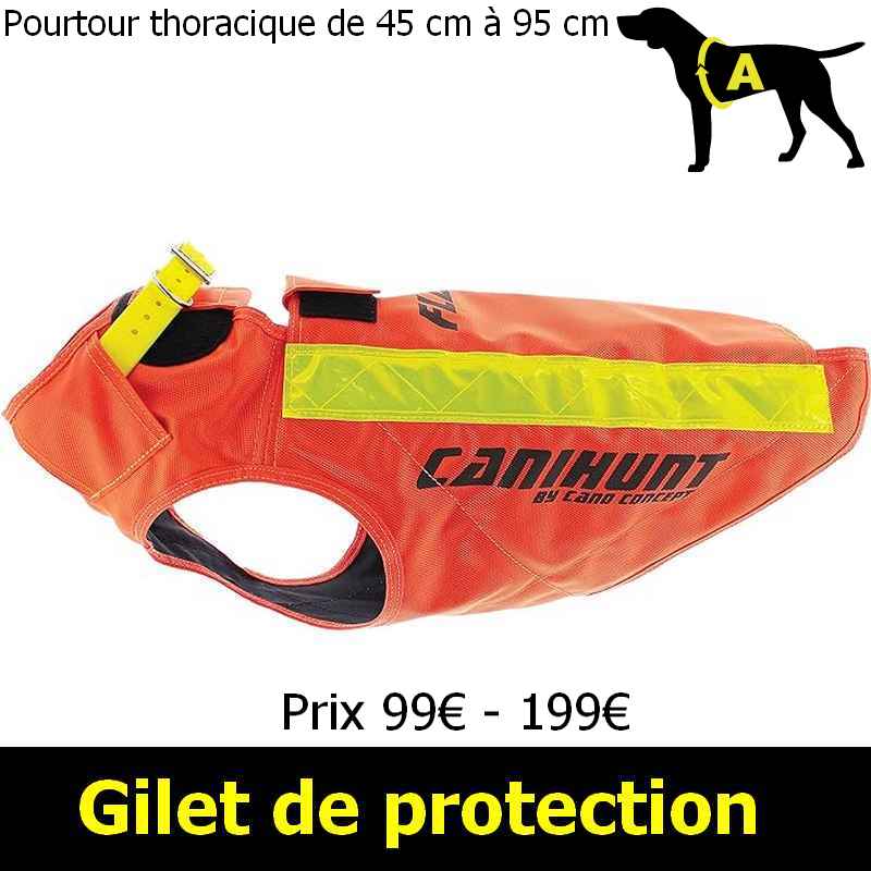 Gilet protection hotsell chien somlys