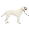 PetSafe – Licol Easy Walk pour Grand Chien (L), Anti-Traction, Confortable, avec Laisse en Nylon (inclus) – Noir