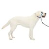 PetSafe Gentle Leader Licol avec entraînement DVD