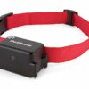 PetSafe, Collier supplémentaire pour chien têtu ou gros chien pour clôture anti-fugue avec fil, ajustable, imperméable, 5 niveaux de stimulation, pour chiens de +4 kg, pèse 142 gr.