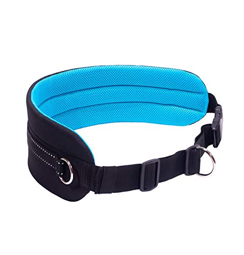 LASALINE Canicross Ceinture Abdominale pour Laisse de Chien - Noir Bleu Clair