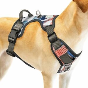 Harnais Chien XL, Harnais Anti Traction pour Chien, Facile à Mettre, sans  Poignée Contrôle, Arnet pour