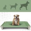 Acrimet Lit surélevé pour Chien, en Tissu en Maille Lavable et Respirant, Cadre en Acier Inoxydable, utilisable en intérieur et en extérieur, (Taille : 40”x 24”) (Couleur Verte) (1 unité)