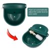 Abreuvoir en Acier Inoxydable avec Valve Flottante de 1/2 pouce et Bouchon de Vidange, Distributeur d'Eau Automatique Vert pour Bovins, Porcs, Moutons, Chiens