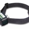 NUM’AXES Collier Seul/supplémentaire pour syqtème Anti-Fugue CANIFUGUE FUG1030/ CANIFUGUE Mix FUG1031
