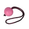 Dingo 17251 Balles de sport BIBI pour entraînement # 70 avec poignée 30 cm Couleur baie Balles flottantes en caoutchouc Apport Jeu avec chien