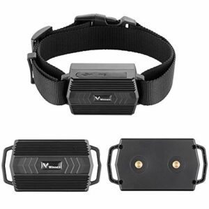 Meilleur collier GPS pour chien - GEOVIE