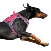 BUMBIN Harnais tactique pour chien de petite taille – Harnais anti-traction – Pour chien – Harnais réfléchissant intelligent pour chien – Harnais réglable avec poignée – Rose rouge – Taille L