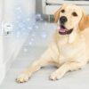 ADAPTIL Calm – Anti-stress pour chien – Diffuseur + Recharge 48 ml