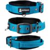 Collier pour Chien SparklyPets Hyper résistant avec poignée pour Chiens de Taille Moyenne et Grande - Collier Professionnel avec des Points de Suture réfléchissants, poignée Souple et Boucle nickelée