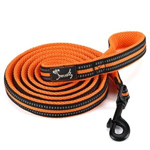 Laisse pour Chien Solide avec Poignée Rembourrée Corde Anti-Traction Laisse  de Dressage Élastique pour Moyens