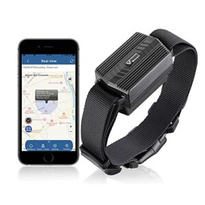 Meilleur collier GPS pour chien - GEOVIE