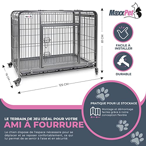 MaxxPet Cage pour Chien - Caisse Transport Chien - Pliable en Métal - Cage  Chien Interieur - 2 Portes - Convient pour Le Transport - 122x74x81 cm -  Noir - ProChasse