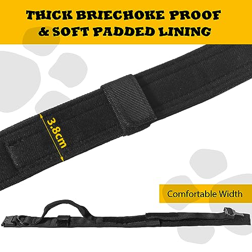 Collier Chien Tactique Réglable avec Poignée de Commande - Collier pour Chien Boucle en Métal Idéal pour Chiens de Travail et Toutes Tailles (Noir, M)