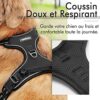 rabbitgoo Harnais Chien Anti Traction, Arnet pour Chien Facile à Mettre Harnais Réfléchissant Réglable avec Attache Devant Harnais pour Chien Moyen, Large, Couleur Noir