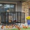 Cage Chien Grande Taille Métal: Caisse pour 2 Grand Chiens Intérieur XXL avec Diviseur Amovible Enclos Chien Extérieur - Parc Gros Chien sur Pied avec Double Plateaux 130x100x100cm
