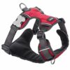 RED DINGO Bavoir Matelassé pour Chien