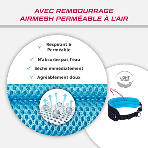 LASALINE Canicross Ceinture Abdominale pour Laisse de Chien - Noir Bleu Clair
