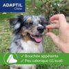 ADAPTIL Chew - Bouchées Anti-Stress pour Chiens – Action Rapide dès 30 Minutes - Ingrédients naturels – 30 bouchées délicieuses – sans Somnolence