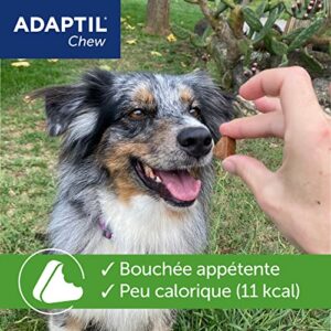 51aQCmyPVXL._SL500_.jpg