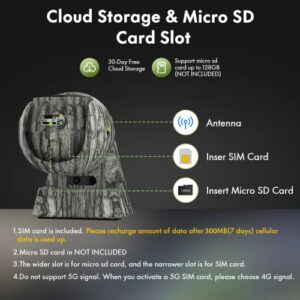 51bqN67Kb-L._SL500_.jpg