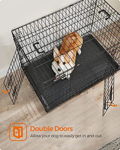 Feandrea Cage pour Chien Pliable avec 2 Portes, Plateau Amovible, 92,5 x 57,5 x 64 cm, Taille L, Noir PPD36H