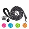 Laisse Robuste pour Chien, 3 m/2 m, Convient pour Les Chiens de Taille Moyenne et Grande, avec poignées Confortables et Lignes réfléchissantes Plus évidentes (Noir, 3M)