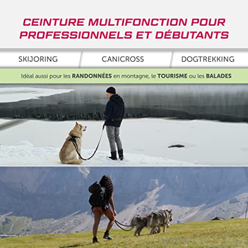 LASALINE Canicross Ceinture Abdominale pour Laisse de Chien - Noir Bleu Clair