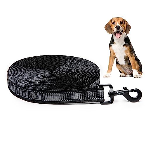 Toozey Longe pour Chien, 5m, 10m, 15m