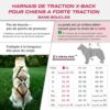 LASALINE Harnais de Traction pour Chien, x-Back Harnais canicross, Harnais Chien Velo, Harnais cani VTT, Harnais Chien de traineau - Noir Bleu Clair
