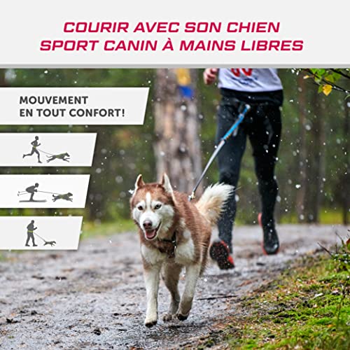 LASALINE Canicross Ceinture Abdominale pour Laisse de Chien - Noir Bleu Clair