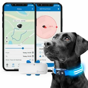 Meilleur collier GPS pour chien - GEOVIE