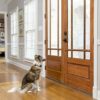 PetSafe – Cartouche de Recharge pour Collier Anti-aboiement à Jet pour Chien – Rechange Citronnelle - Paquet de 3