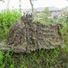 HYFAN Ghillie Suit Poncho 3D Feuilles Camouflage Cape Cape pour Les Militaires, CS, Chasse à la Jungle, Paintball, Airsoft, Photographie de la Faune (Taille Gratuite)
