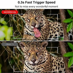 61k5NDiKyqL._SL500_.jpg