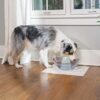 PetSafe - Filtre en Mousse de Rechange - Fontaines en Céramique, Plastique et Fontaines Drinkwell 360 en Acier, Blanc, 2 Unité (Lot de 1)