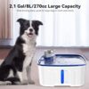 Kittyspout Fontaine à Eau pour Chien, 8L Fontaine Chat/Grand Chien avec Fenêtre de Visualisation, Pompe Ultra-silencieuse, Filtre à 4 Couches pour Garder l'eau Propre, sans BPA