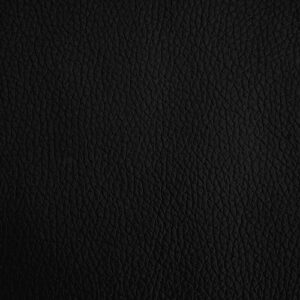 41n2X2B5yxL._SL500_-1.jpg