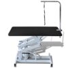 Festnight Table Toilettage Ajustable Hydraulique pour Chiens Capacité de Charge 60 kg