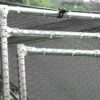 PawHut Enclos poulailler chenil 5,32 m² - Parc grillagé dim. 2,8L x 1,9l x 1,95H m - poulailler chenil entièrement Couvert - Acier galvanisé